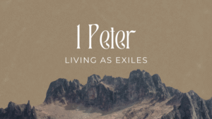A Righteous Life | 1 Peter 3:8-12